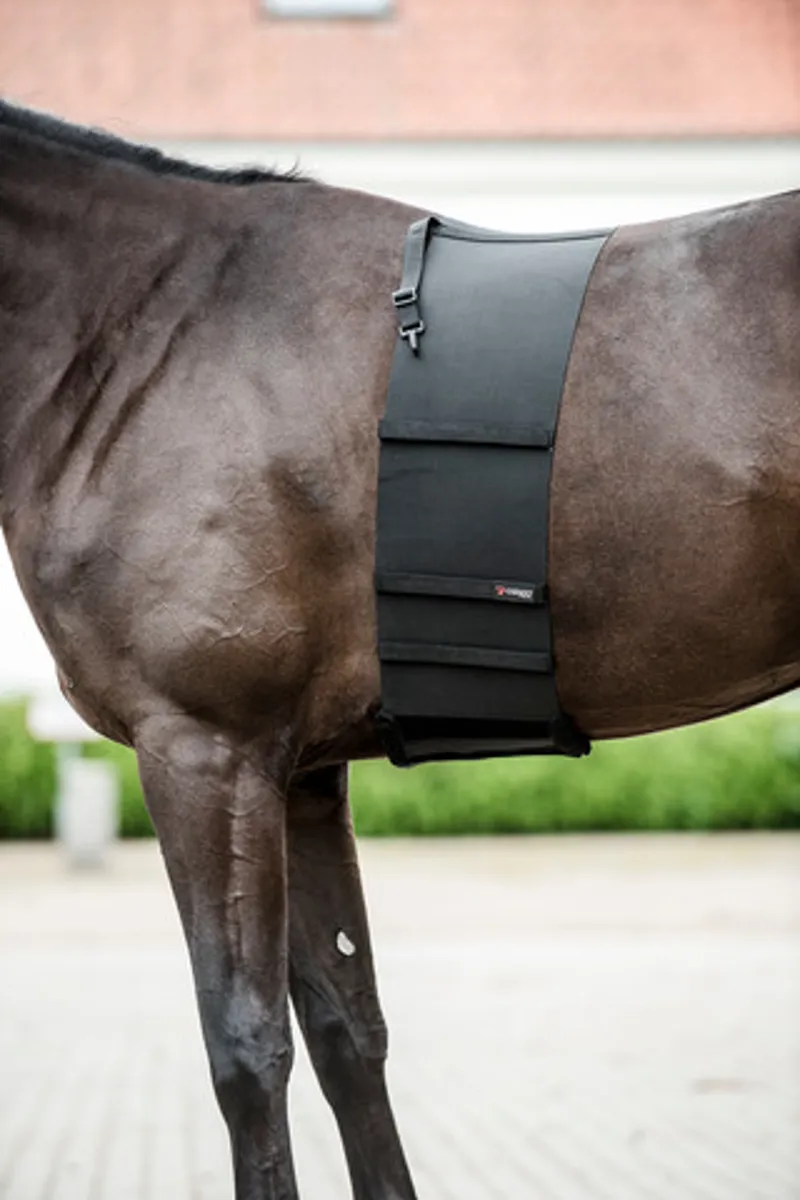 Catago Body Shield in Black